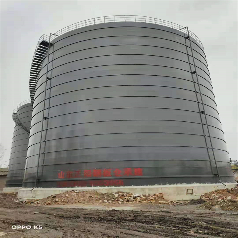 长丰镇3万吨大型钢板库