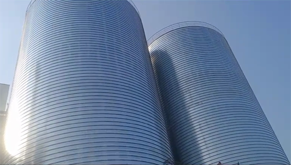 长丰镇2座混凝土高架卷板仓